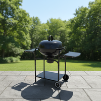 Barbecue à charbon de bois moderne en fer pour extérieur avec deux tables latérales, portable pour jardin, fête en plein air, camping