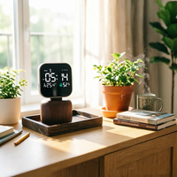Diffuseur d'huiles essentielles portable sans eau, nébuliseur électrique à brancher sur prise murale, aromathérapie pour usage domestique
