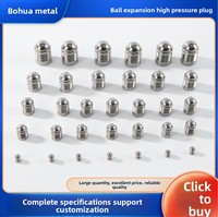 Bouchon d'étanchéité pour chambre à air en acier inoxydable 316 galvanisé haute pression 500 bars, série MB, pour moteur automobile, 8 mm, 10 mm, 12 mm