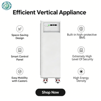 Batería de Iones de Litio Lifepo4 de 51.2V 300AH, Batería Solar Híbrida de 51.2V, Montaje en Pared, Almacenamiento de Energía Doméstica, Ciclo Profundo Lifepo4, BMS