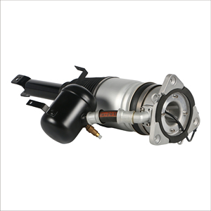 โช้คอัพหลังแบบถุงลม 4E0616001AF 4E0616002AF สำหรับ Audi A8 D3 S8 - Product Image 5
