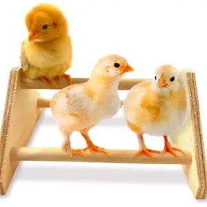 2023 hot sale chicken toys for coop Pet chicken single wooden stand Big rooster hen stand