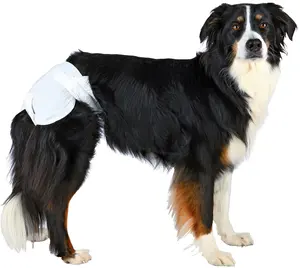 OEM ODM Wholesale dog wee diaper supplier From China