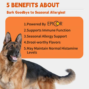 Integratore probiotico per animali domestici personalizzabile <span class=keywords><strong>Best</strong></span>-seller: mastica morbida per sostenere la digestione della salute intestinale e il sistema immunitario per cani e gatti - Product Image 4