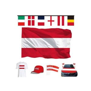 Custom Logo Austria Country <b>Flag</b> for Sport Events-Custom Printing Polyester Custom Size & Portable - Product Image 4