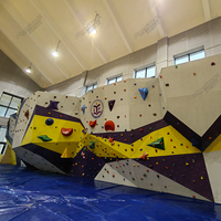 Panneau mural d'escalade préfabriqué en contreplaqué avec impression artistique et goujons en T pour une utilisation à domicile, à l'école, dans les salles de sport commerciales