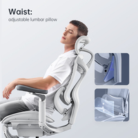 Sihoo Doro C300 nouveau Design 6D Bionic Joint accoudoir main courante oreiller lombaire réglable chaise de bureau ergonomique