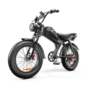 C93 Vélo tout-terrain électrique à roue bon marché Pneu épais Bicyclette de montagne Chopper Acier USA Logo personnalisé 48V 20ah Noir 7 vitesses