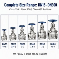 Katup Globe Berflens Baja Tahan Karat CF8 ANSI Kelas 150 3/4 Inci DN20 Dudukan Logam ASME B16.34 API 598 Manual Minyak OEM