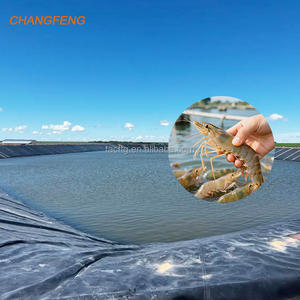 Groothandel Dam Voering Geomembranen Roll Anti-uv Hdpe Geomembrane 0.2Mm Hdpe Voering Voor Viskwekerij Vijvers En Kunstmatig Meer - Product Image 3