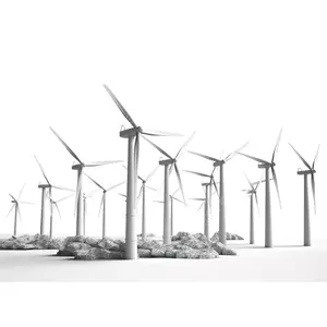 En ucuz rüzgar enerjisi Dc jeneratör 200Kw 300Kw 400Kw 500Kw ev için 2024 300W Dc rüzgar jeneratörü