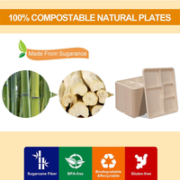 Barquettes alimentaires jetables écologiques biodégradables carrées de 6 pouces, vaisselle en vrac