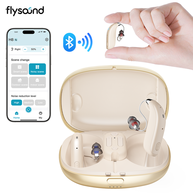 Flysound 2026 Wholesale Medical Air Conduction Sound Amplifier Bluetooth RIC Hearing Aid with Drying Charging Case for Deafness