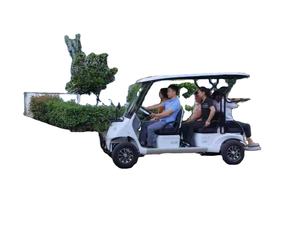 Veicolo elettrico auto elettrica per adulti nuova auto energetica - Product Image 5