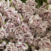 Vase à roses en soie B-1350, branche longue de 72 cm, pour la décoration intérieure des restaurants et des hôtels, arrangement floral pour la Saint-Valentin, rose/violet