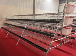 A-Loại 4 Cấp Đầy Đủ Tự Động Lưới Thép Gà Hai Lớp Lồng Điều Kiện Mới Gia Cầm Lồng Cho Gà Thịt Chim - Product Image 2