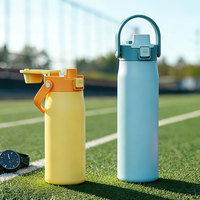 Bouteille d'eau isotherme Everich 22oz à large ouverture en acier inoxydable 304 avec couvercle à bec verseur escamotable et poignée portable