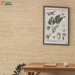 WUFUSHAN Pittura Artistica Opaca Effetto Travertino, Rivestimento Durevole in Pietra di Riso per Decorazione Pareti di Hotel e Centri Commerciali - Product Image 5