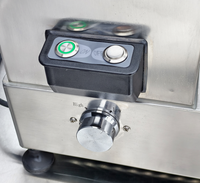 Nieuw Thuis Commercieel Gebruik Notengroente Snijmachine Voedselversnipperaar Hummus Home Restaurant Hotels Fruitverwerkingsfabriek