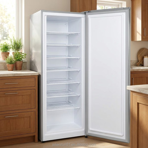Congelador Vertical Solar de 198L, 12V 24V AC, Doble Alimentación, Puerta Única, Profundo, para Uso Comercial, en Hoteles y Hogares Aislados de la Red, 198L Profesional Vertical - Product Image 5