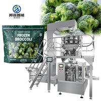 Machine d'emballage de granulés en sachet debout pré-fabriqué Doypack pour florets de brocoli, dattes rouges, graines de tournesol, grains de café, frites