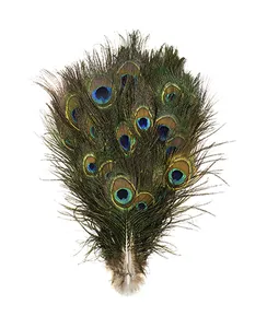Piuma di alta qualità per festa di carnevale 10-12 pollici piuma di pavone per la decorazione della casa