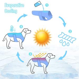 Outdoor Summer Evaporative Microfiber Sun Protection Lightweight Instant Dog Cooling Vest Dog Shirt - Product Image 4