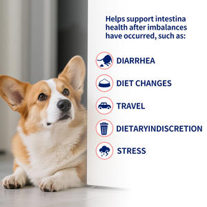 Comprimés à mâcher probiotiques pour chiens, 7 souches, <span class=keywords><strong>5</strong></span> milliards d'UFC + prébiotiques, 60 unités pour l'équilibre intestinal - Product Image 5