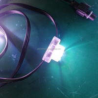   Lampes ponctuelles intelligentes RGBW permanentes pour l'extérieur, certifiées DC24V, avec contrôle par application Wifi, pour la décoration de la maison et des fêtes