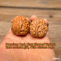 Noix de Grenoble en os massif, forme ovale naturelle, haute densité, anti-stress, objet de collection pour le jeu manuel
