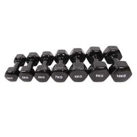 Haltères hexagonaux givrés multicolores légers pour la musculation à domicile et l'entraînement de force, avec support pour haltères
