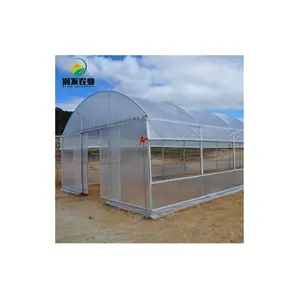 Tunnel Agricultural Film Greenhouse For Tomato Tunnel Greenhouse For Sale Low Cost Agricultural Greenhouse Tunnel