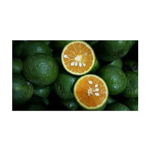 Naranjas Verdes de Vietnam al por Mayor en Grandes Cantidades - Product Image 1