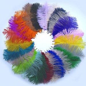 Grandes plumes d'autruche blanches de 10 à 80 cm, de haute qualité, teintes, pour décorations de carnaval, de fêtes, de Noël, de mariages et de centres de table. - Product Image 4