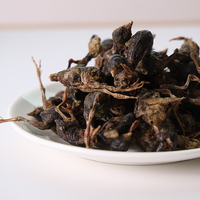 Jinzhen Direct Friandises pour caille lyophilisées Collations à la viande biologique pour chats et chiens Vente en gros OEM ODM Fabricants en vrac