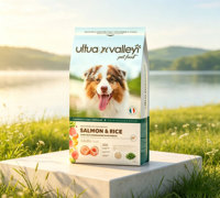 Sac à fond plat imperméable et résistant à l'humidité, imprimé en gravure personnalisée, avec fermeture éclair, Doypack, 2,5 kg, pour l'emballage d'aliments pour chiens, chats et animaux de compagnie
