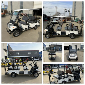 Mini vehículo turístico eléctrico de lujo de 6 plazas, autobús turístico vintage de alta calidad para lugares escénicos, carritos de golf inspirados en centros turísticos - Product Image 5
