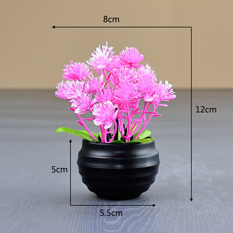Collection Lotus[Pot noir]