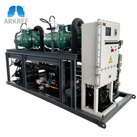 Refroidisseur industriel haute efficacité R290, compresseur à vis refroidi par eau, refroidisseur antidéflagrant DIIBT4, machine de refroidissement