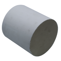 Filtro antiparticolato Diesel in ceramica a nido d'ape a flusso di Cordierite universale personalizzabile