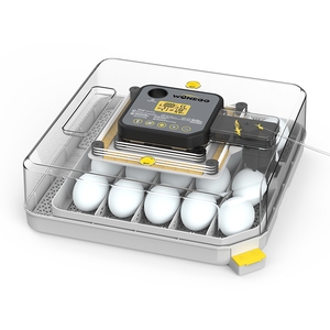 WONEGG NUEVO Incubador de Huevos de Pollo, Codorniz y <span class=keywords><strong>Pato</strong></span> de 48 Huevos, Incubadoras Solares Pequeñas Automáticas - Product Image 2