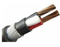 Câble blindé 0,6/1 kV 2,5 mm² et prix du câble 25 mm² câble PVC 2 conducteurs 16 mm