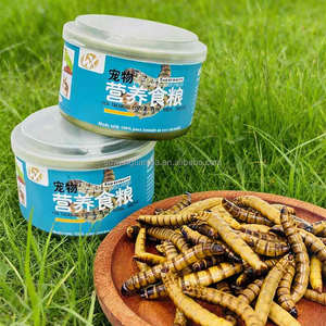 หนอนข้าวบาร์เลย์อบแห้ง: อาหารทดแทนที่สะอาดและปลอดภัยสำหรับสัตว์ - Product Image 4