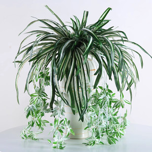 Plante artificielle Miaomiao, plante araignée en soie, verdure suspendue, décoration intérieure, un seul tige, VVD23 - Product Image 1