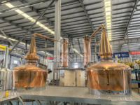 Usine de distillation de malt simple de 1000L, équipement de fermentation de bière artisanale manuel, moteur PLC, pompe en acier inoxydable, cuve sous pression