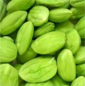 Semillas Frescas de Petai Parkia Speciosa de Indonesia, 100% Calidad Garantizada, Semillas Crudas Frescas, Aroma Natural, Sabor Intenso, Calidad de Exportación - Product Image 5