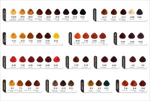 Vendita caldo Salon <span class=keywords><strong>Per</strong></span> <span class=keywords><strong>Tabella</strong></span> <span class=keywords><strong>di</strong></span> Colore Dei <span class=keywords><strong>Capelli</strong></span> <span class=keywords><strong>Per</strong></span> <span class=keywords><strong>Capelli</strong></span> Tintura - Product Image 6