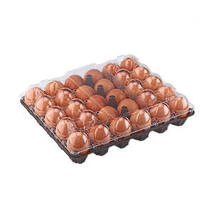 MÁQUINA DE TERMOSHAPADO DE BANDEJAS DE HUEVOS DE PLÁSTICO PP PS PE PET, MÁQUINA DE TERMOSHAPADO DE CAJAS DE HUEVOS - Product Image 4