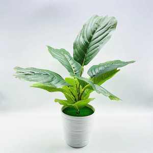 Qi Xing <b>Artificial</b> Banyan Leaf Plant 33 Cm Plastic Indoor Decor Greenery - Product Image 4