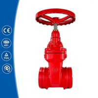Katup Gerbang Besi Ductile In Line Non-Rising Stem Grooved Soft Seated dengan Lapisan Epoxy Merah untuk Penutupan Rapat pada Suplai Air Kantor